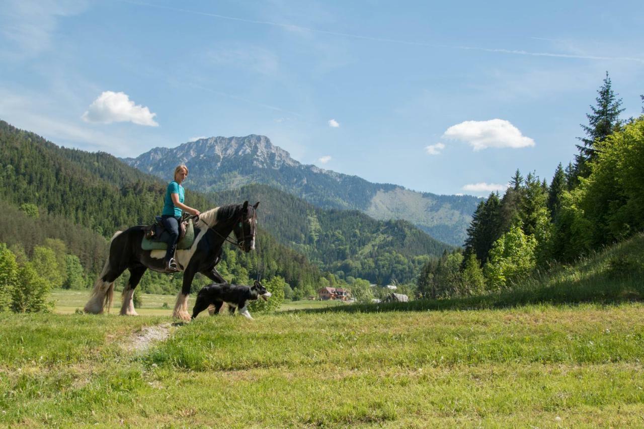 Vila Reiterbauernhof Maho Sankt Aegyd am Neuwalde Exteriér fotografie