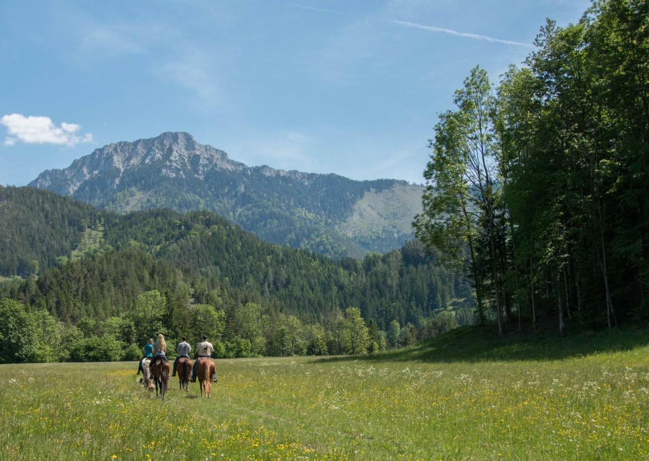 Vila Reiterbauernhof Maho Sankt Aegyd am Neuwalde Exteriér fotografie