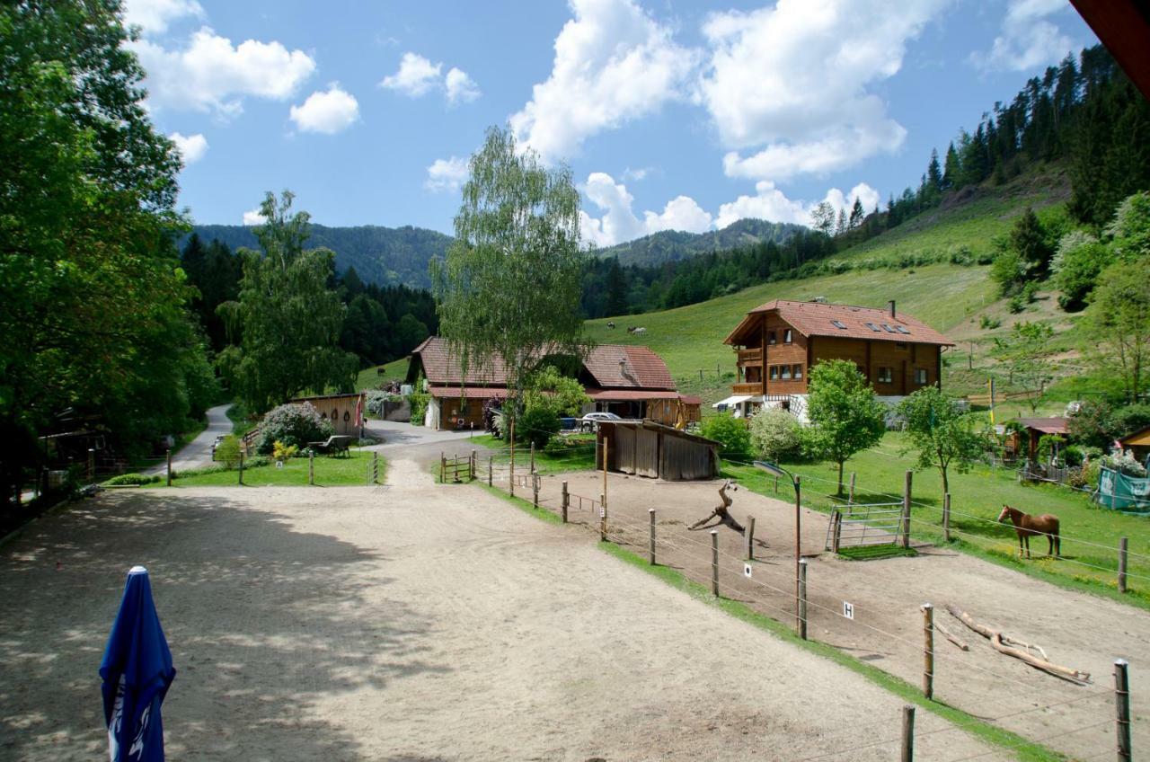 Vila Reiterbauernhof Maho Sankt Aegyd am Neuwalde Exteriér fotografie